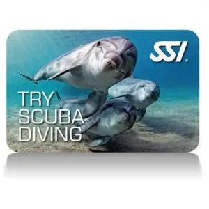 SSI Discover Scuba Diving Phuket in Phuket For Beginners