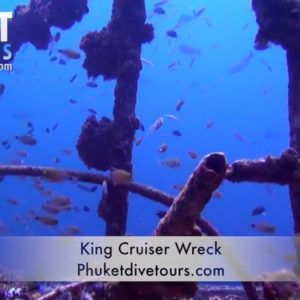 Best marine life in Phuket
