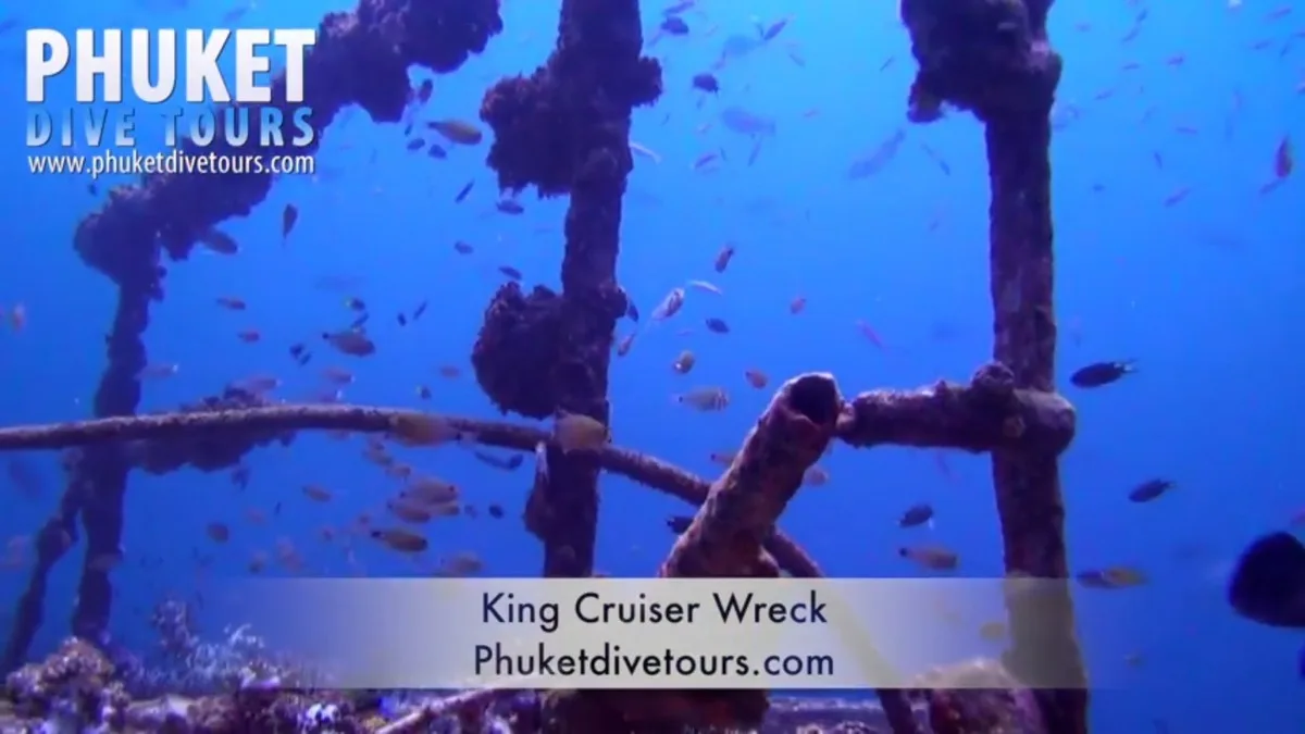 Best marine life in Phuket