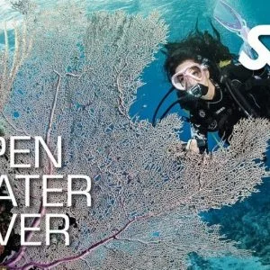 SSI Scuba Courses Phuket - Open Water is the best dive course for beginners
