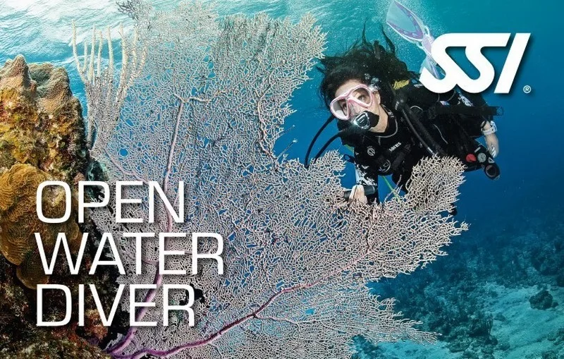 SSI Scuba Courses Phuket - Open Water is the best dive course for beginners