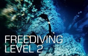 SSI Phuket Freediving Course Level 2 - Free Dive in Phuket