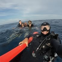 Best SSI Scuba Diving Course Prices