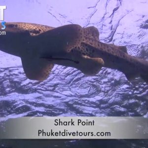 Shark Point - Scuba diving Phuket Thailand