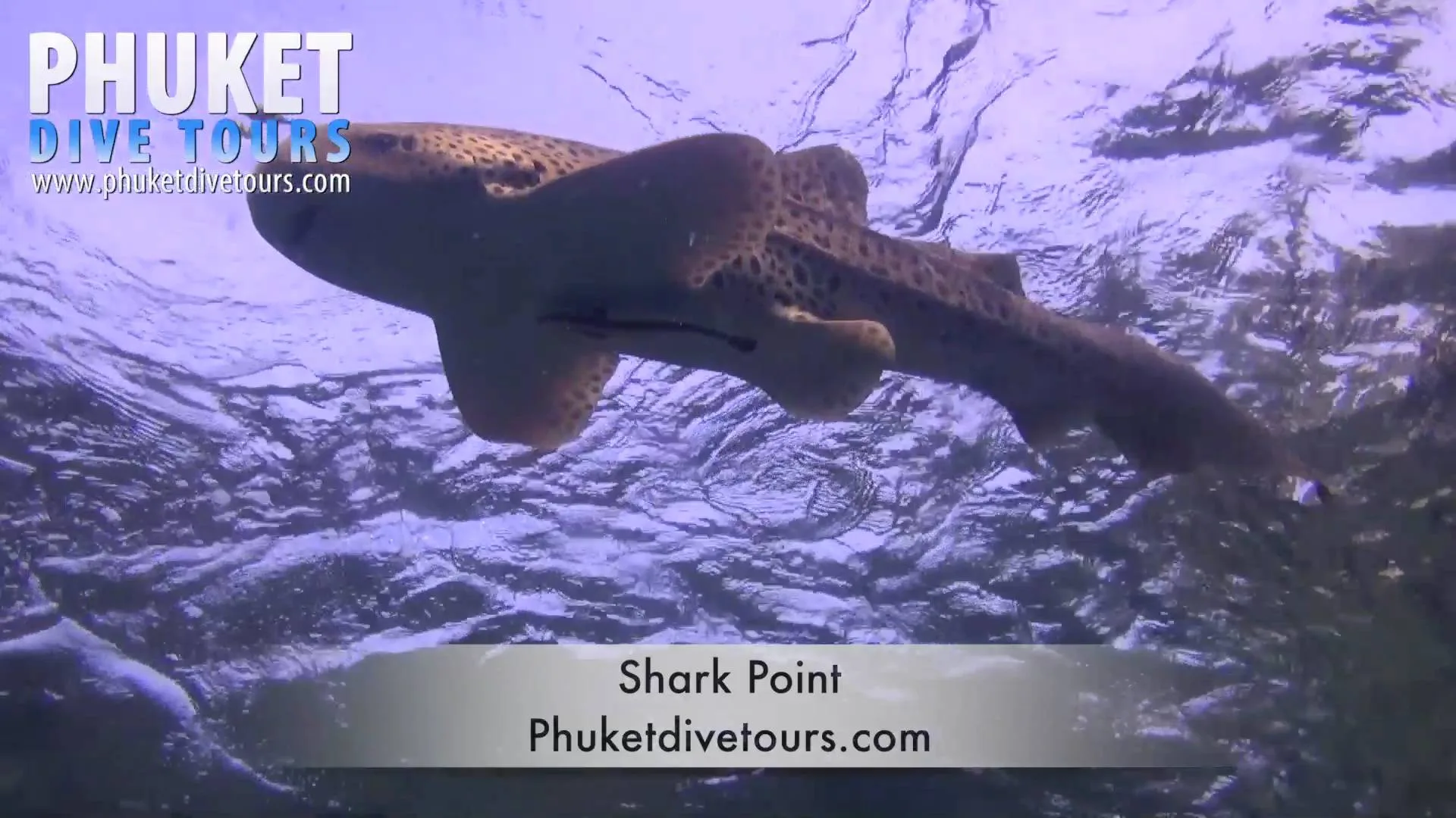 Shark Point - Scuba diving Phuket Thailand