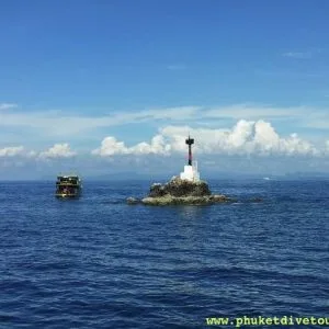 shark point scuba diving 3 dive trip