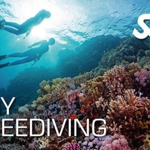 SSI Dive Freediving in Phuket Thailand